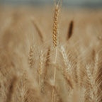 Spray Hydratant Protein Spray