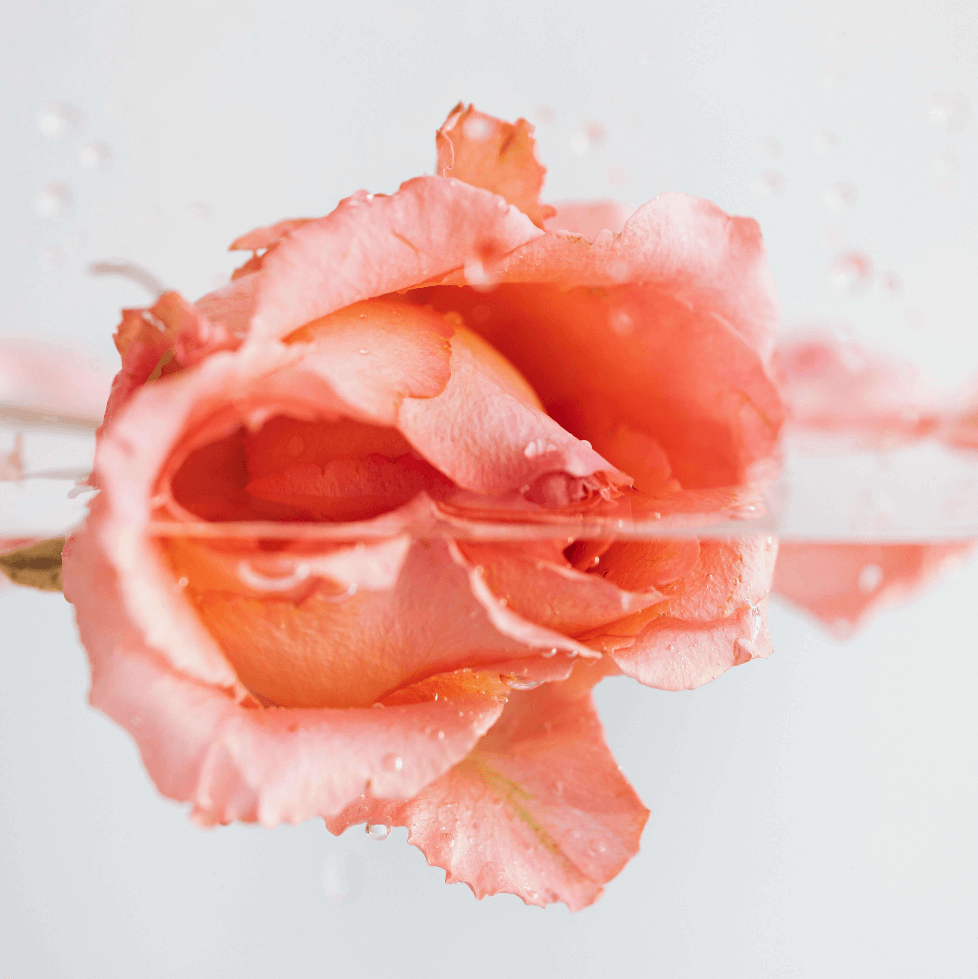 Masque nutritif Rose Love