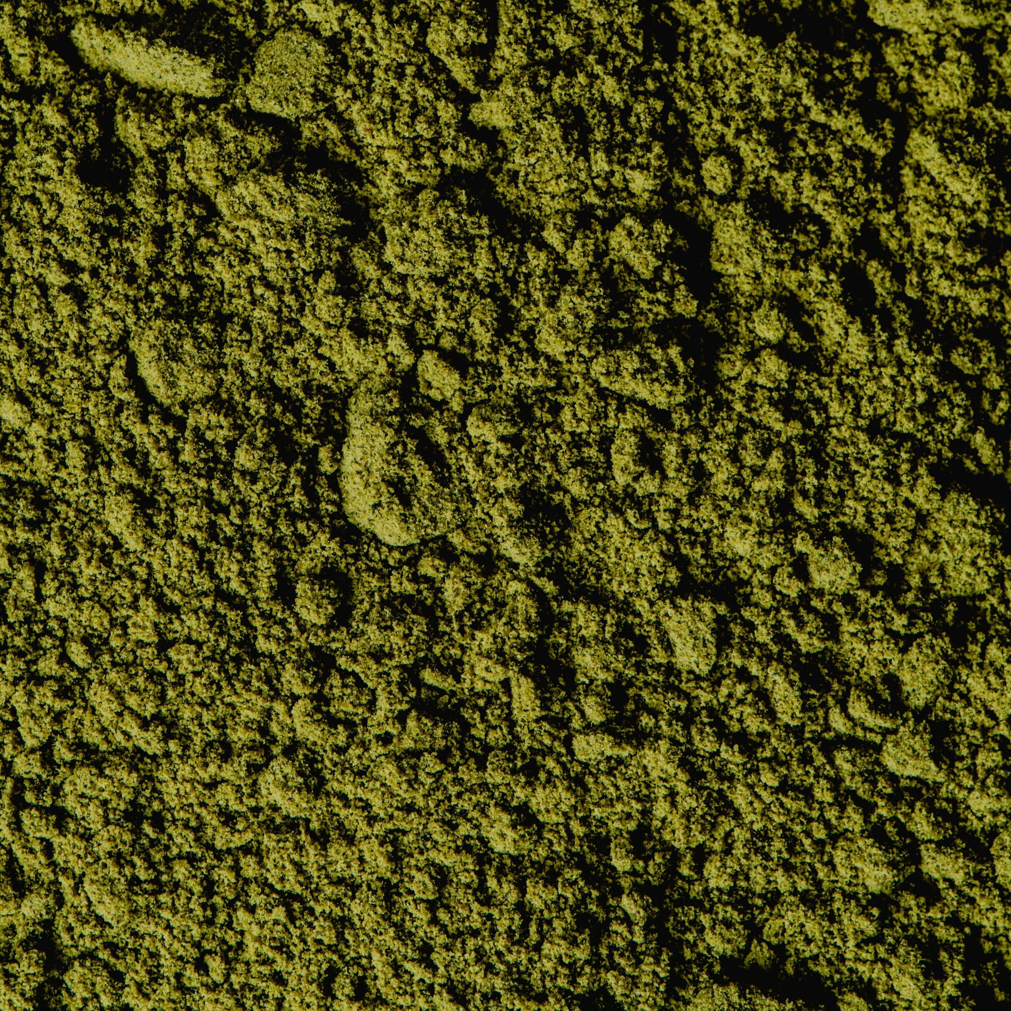 Shampoing exfoliant Matcha Scrub