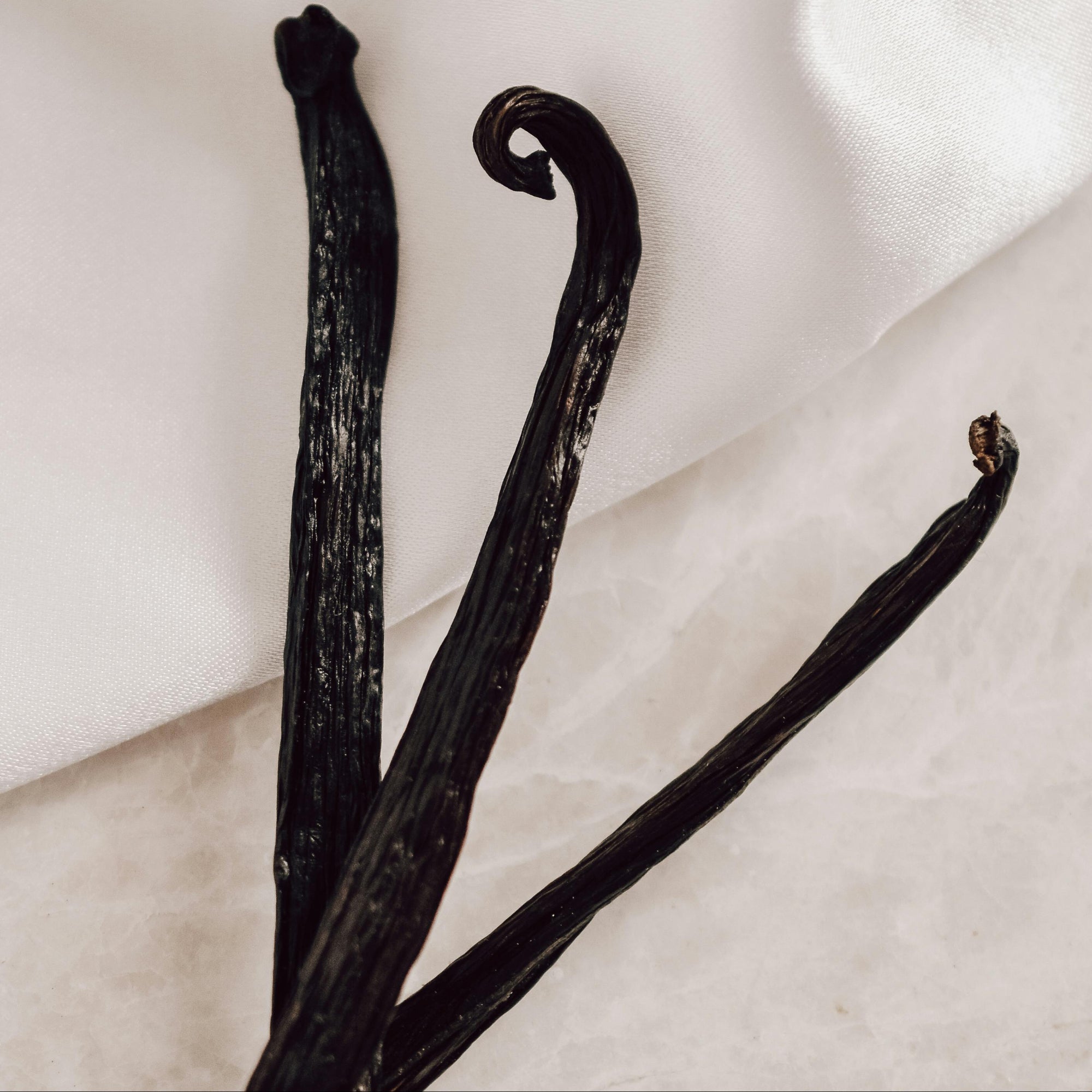 Shampoing réparateur Vanilla Dream